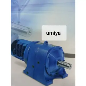 Helical Gear Motor