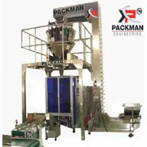 Multi Head Packing Machine Manufacturers In Pretoria
