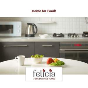 Felecia - Shastrinagar , Naranpura 3 BHK APPARTMENT