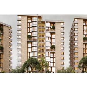 Maple Tree - Surdhara Circle , Thaltej - 3 & 4 BHK