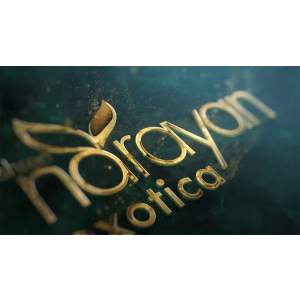 Narayan Exotica - Gurukul - 2 & 3 BHK