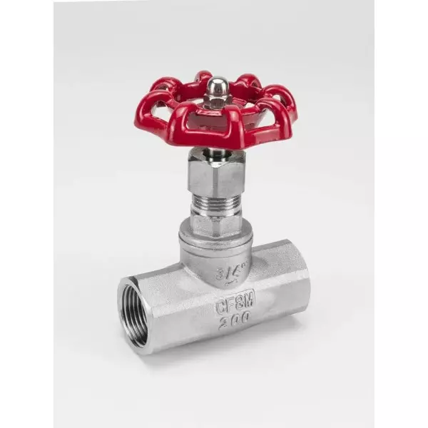 2205 Globe Valve