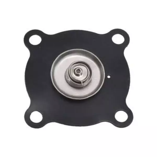 2W Diaphragm