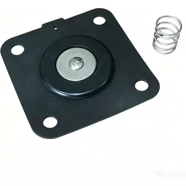 Diaphragm RMF DD