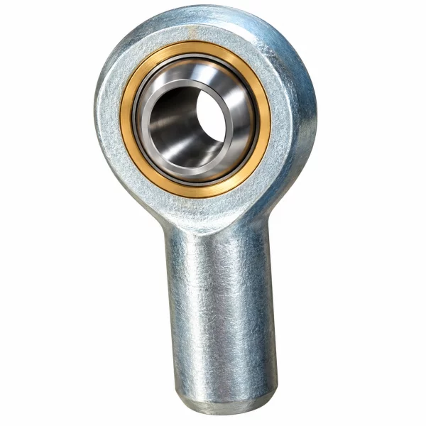 Male ROD EYE