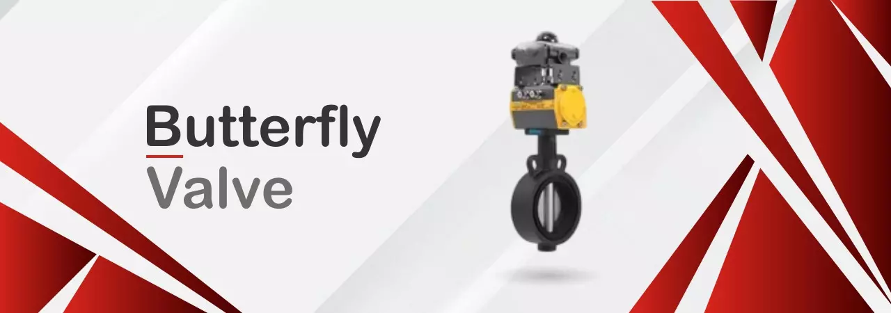 Butterfly Valve for Water, Air and Process Media Control