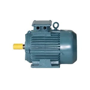 IE2 Energy Efficiency Motor Manufacturers In Abu Dhabi