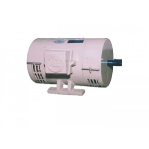 ISI Mark Motor Suppliers In Ras Al Khaimah