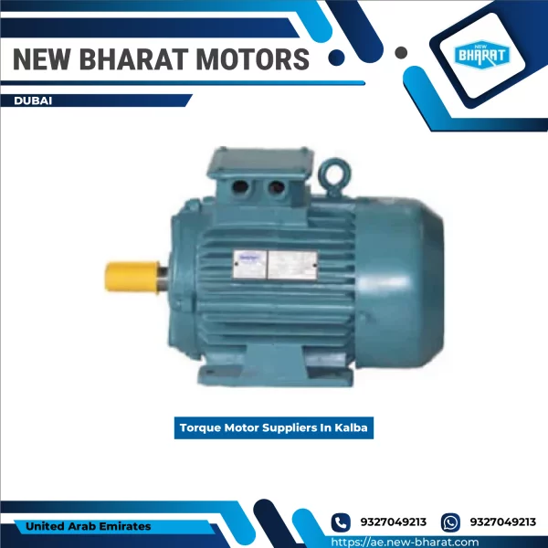 Torque Motor Suppliers In Kalba