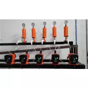 Electronic Solenoid Dosing Pump