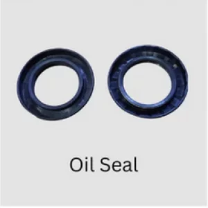 Oil Seal