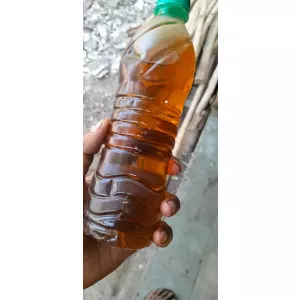 Used Cooking Oil