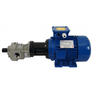 Rotary Gear Oil Pump