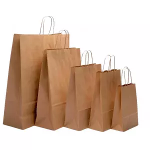 Brown Paper Twist Handle Bags