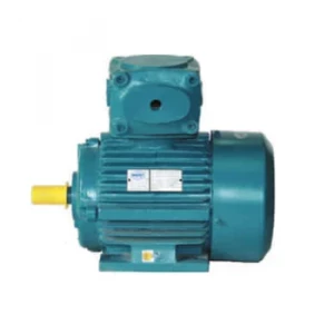 Atex Flameproof Motor Supplier In Nagpur
