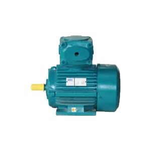 Atex Flameproof Motor Suppliers In Dhanbad