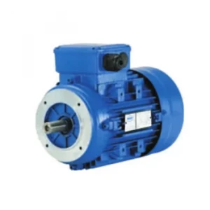 Flange Mounted Motor Manufacturers In Visakhapatnam
