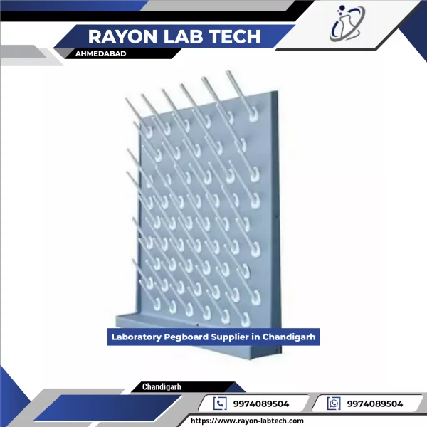 Laboratory Pegboard Mounted On Wall With Various Hooks Holding Laboratory Tools