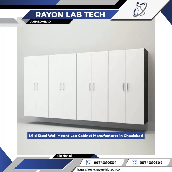 Mild Steel Wall Mount Laboratory Cabinet Installed On Wall