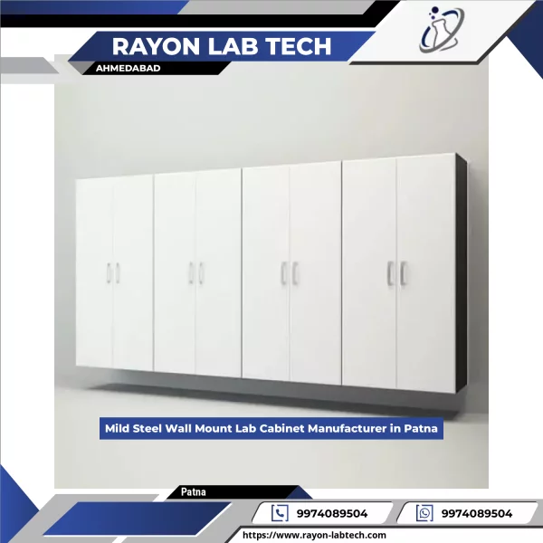 Mild Steel Wall Mounted Laboratory Cabinet Showing Storage Compartments