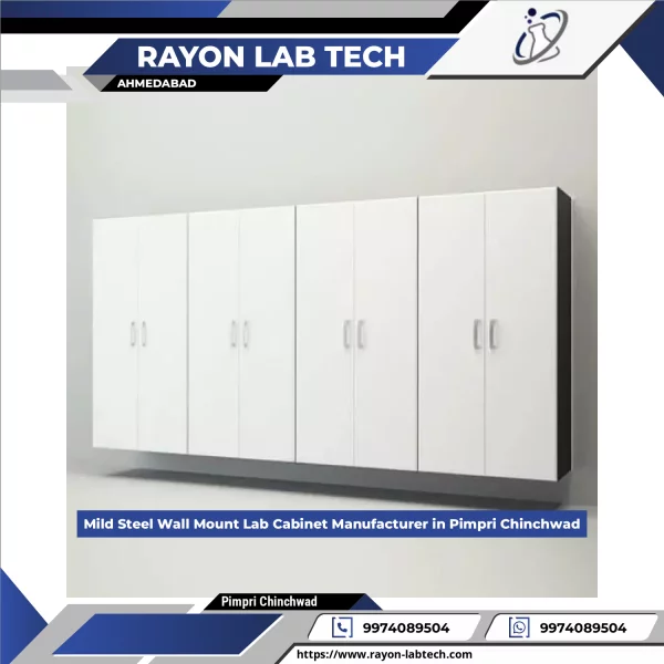 Mild Steel Wall Mount Laboratory Cabinet Installed On Wall