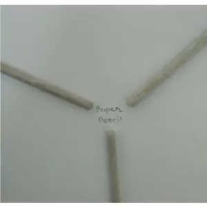 PLANTABLE BLACK PAPER PENCIL Bulandshahr