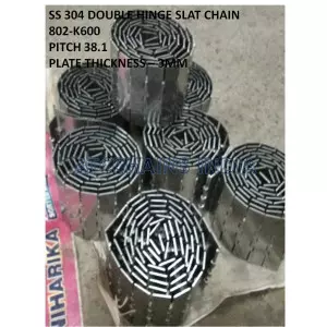 SS 304 Straight Running Chain Double Hinge