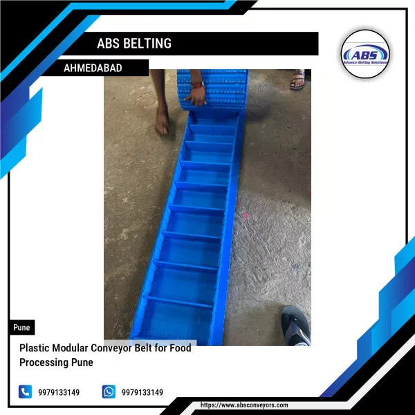 Plastic Modular Conveyor Belt For Food Processing Pune