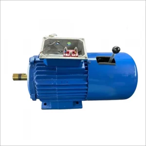 Foot Mounted Brake Motor