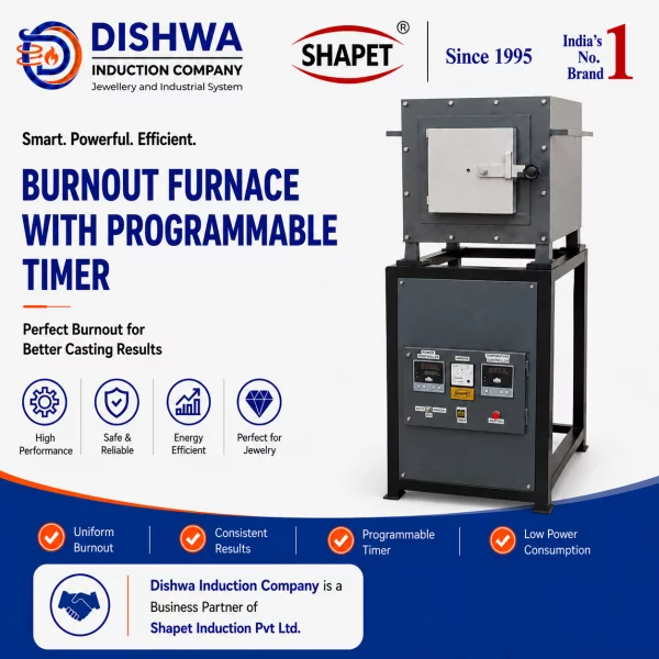 Burnout Furnace With Programmable Timer In Delhi