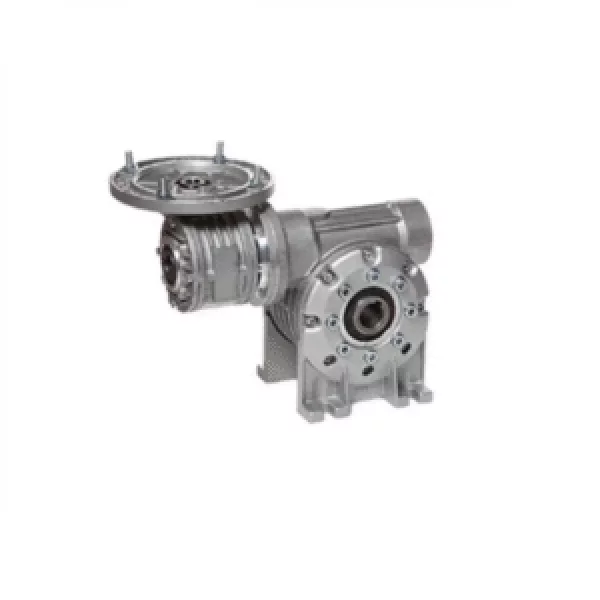 Double Worm Gearbox Unit Showing Dual Worm Shafts With Housing