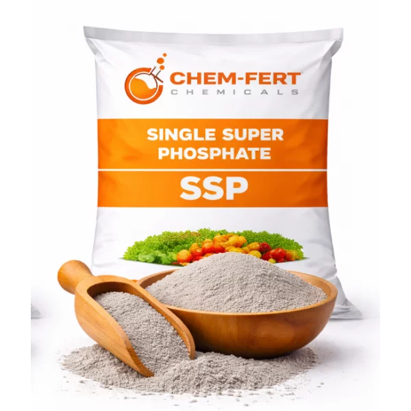 Single Super Phosphate Supplier | SSP Fertilizer Bulk Supply