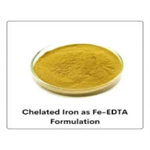 Fe EDTA Manufacturer Dubai