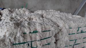 COTTON WASTE FLAT STRIPS BALE PACKING