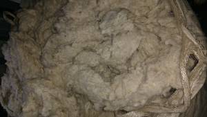 COTTON WASTE FLAT STRIPS RAW