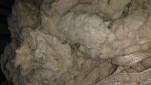 COTTON WASTE FLAT STRIPS RAW