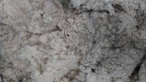 LICKERIN WASTE RAW MATERIAL