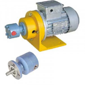 Close-up View Of A Rotary Gear Lubricant Pump Showing Metallic Gears Inside