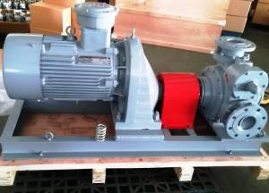 Rotary Vane LPG Pump Showing Gland Packing Seal Assembly