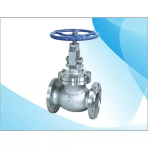 Globe Valve Manufacturing Dahej