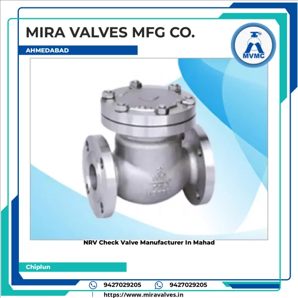 NRV Check Valve Manufacturer In Mahad