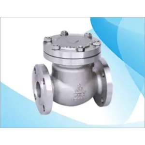 NRV (Non-Return Valve) Check Valve Dealer Chiplun