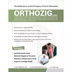 Orthozig Tablet