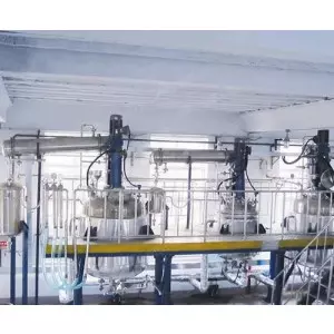 Alkyd Resin Manufacturing Plant
