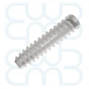 ACL Bioabsorbable Screw