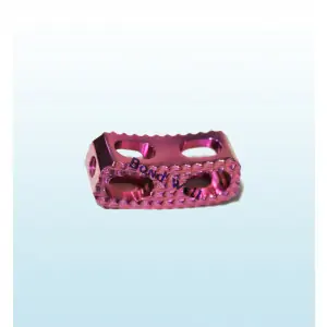 Orthopedic Kidney Cage