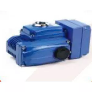 Electrical Actuator