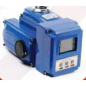 Electrical Actuator