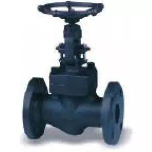 Forge Steel Valves