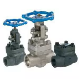 Forge Steel Valves